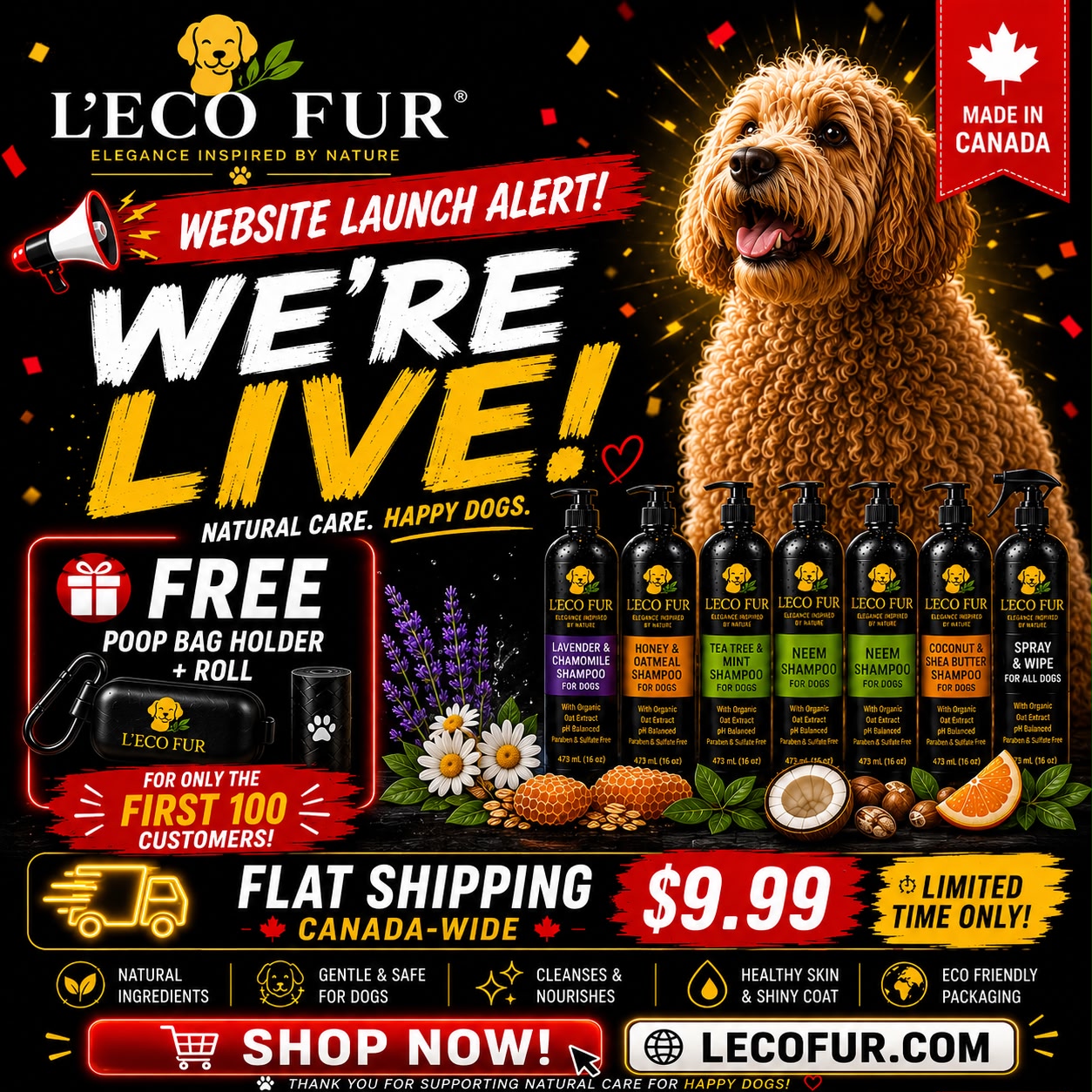 Website Launch Alert